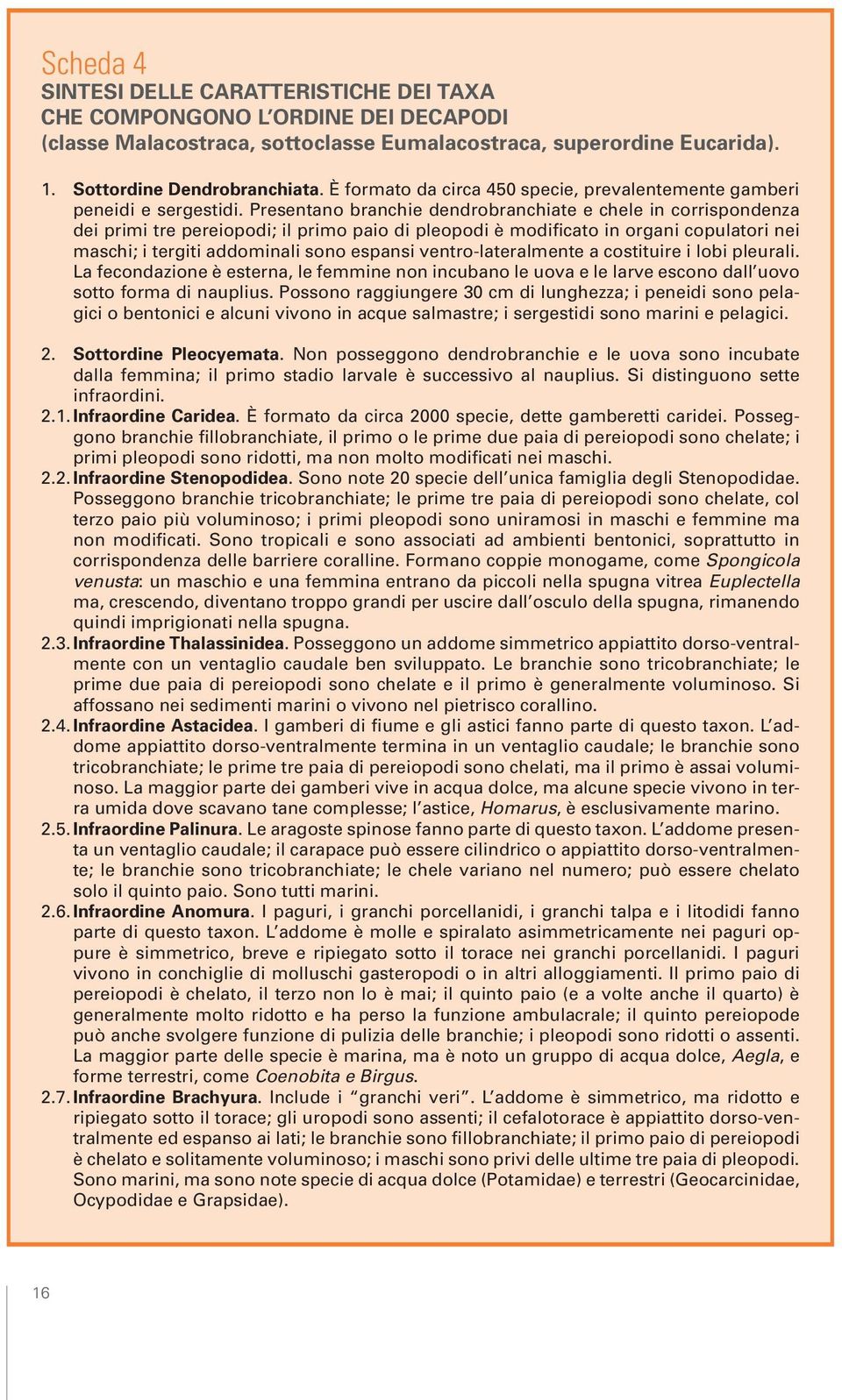 Presentano branchie dendrobranchiate e chele in corrispondenza dei primi tre pereiopodi; il primo paio di pleopodi è modificato in organi copulatori nei maschi; i tergiti addominali sono espansi