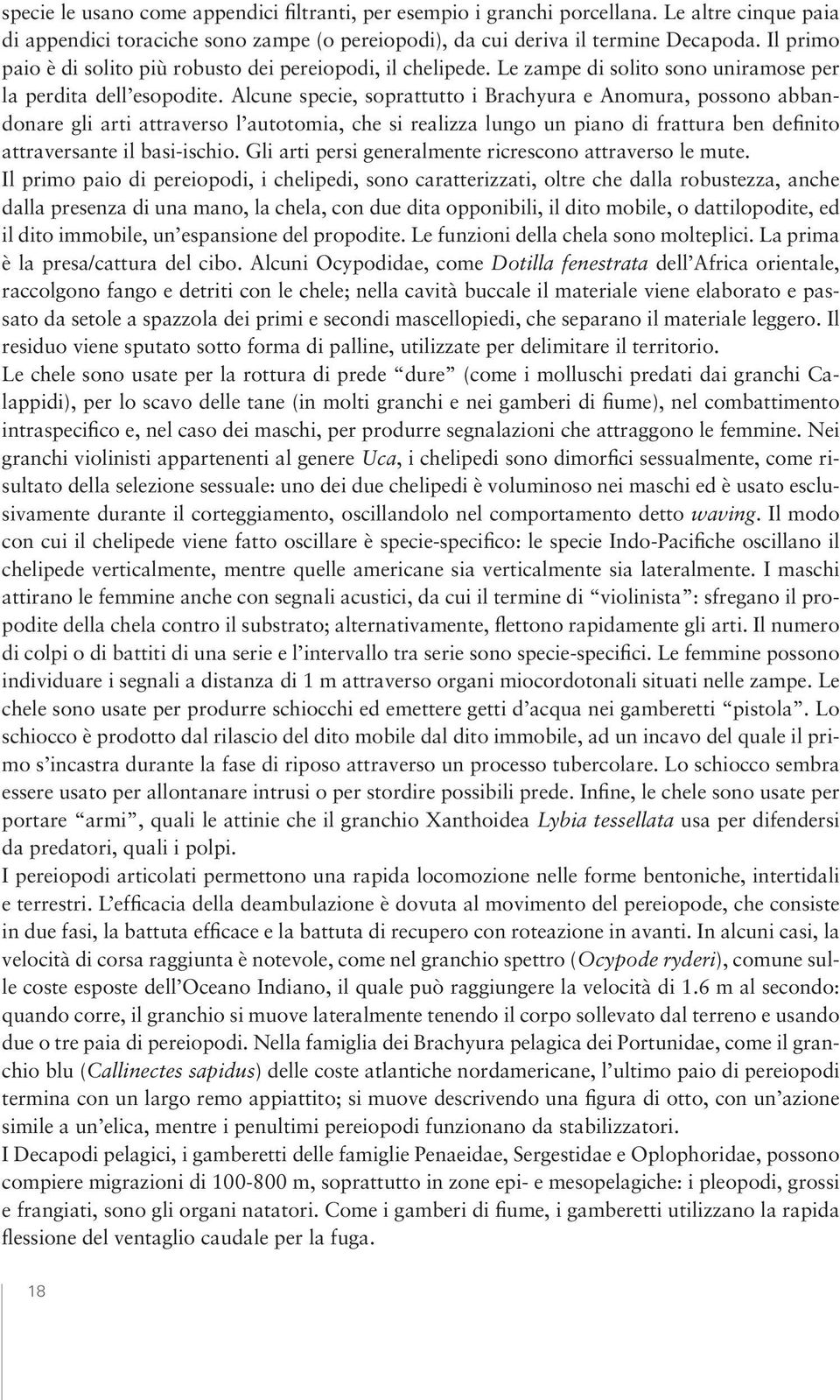 Alcune specie, soprattutto i Brachyura e Anomura, possono abbandonare gli arti attraverso l autotomia, che si realizza lungo un piano di frattura ben definito attraversante il basi-ischio.