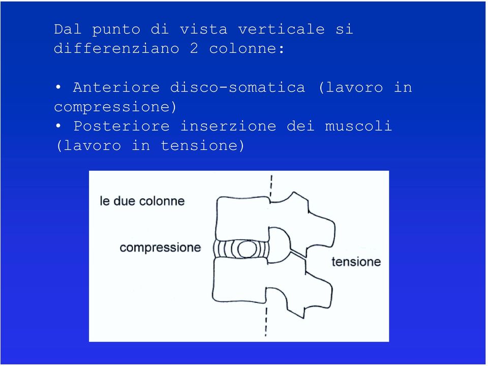 disco-somatica (lavoro in compressione)