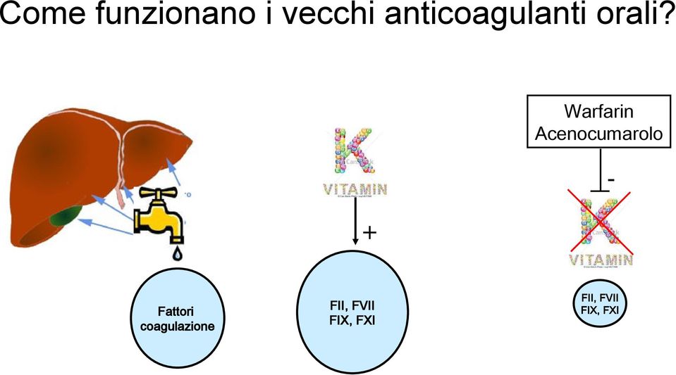 + Warfarin Acenocumarolo -