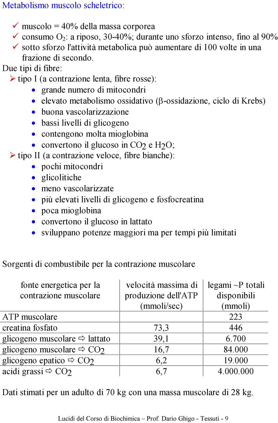 Due tipi di fibre: tipo I (a contrazione lenta, fibre rosse): grande numero di mitocondri elevato metabolismo ossidativo (β-ossidazione, ciclo di Krebs) buona vascolarizzazione bassi livelli di