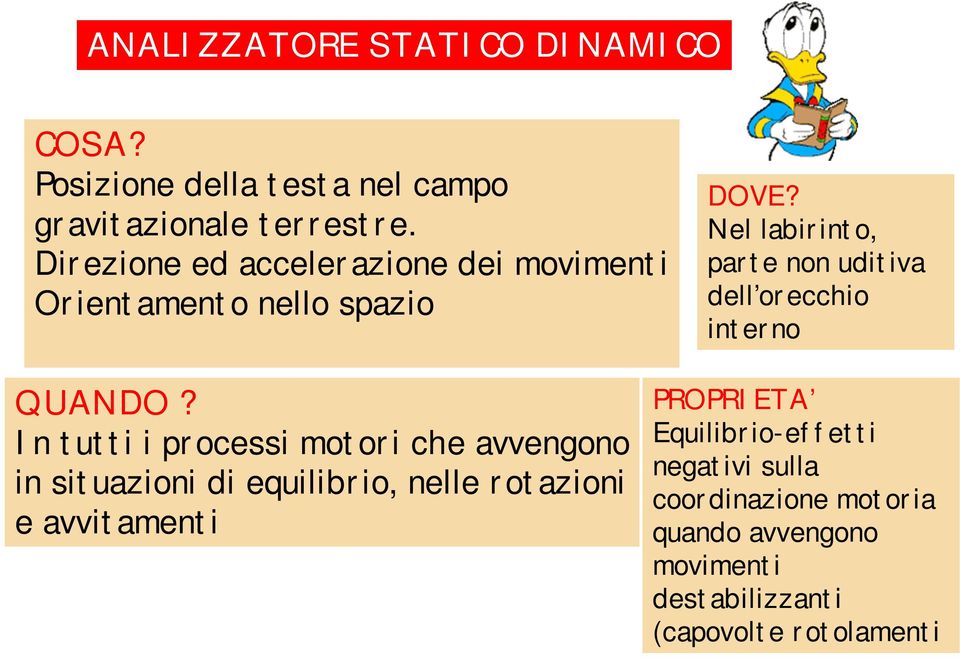 Nel labirinto, parte non uditiva dell orecchio interno QUANDO?