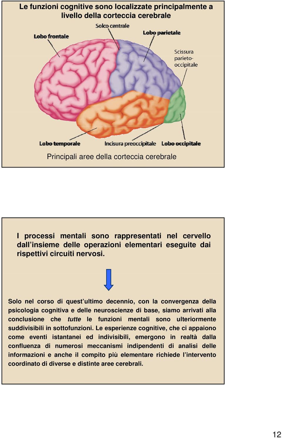 Solo nel corso di quest ultimo decennio, con la convergenza della psicologia cognitiva e delle neuroscienze di base, siamo arrivati alla conclusione che tutte le funzioni mentali sono ulteriormente