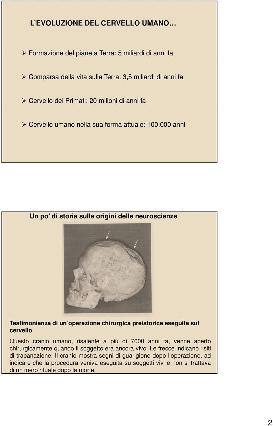 000 anni Un po di storia sulle origini delle neuroscienze Testimonianza di un operazione chirurgica preistorica eseguita sul cervello Questo cranio umano, risalente a più di