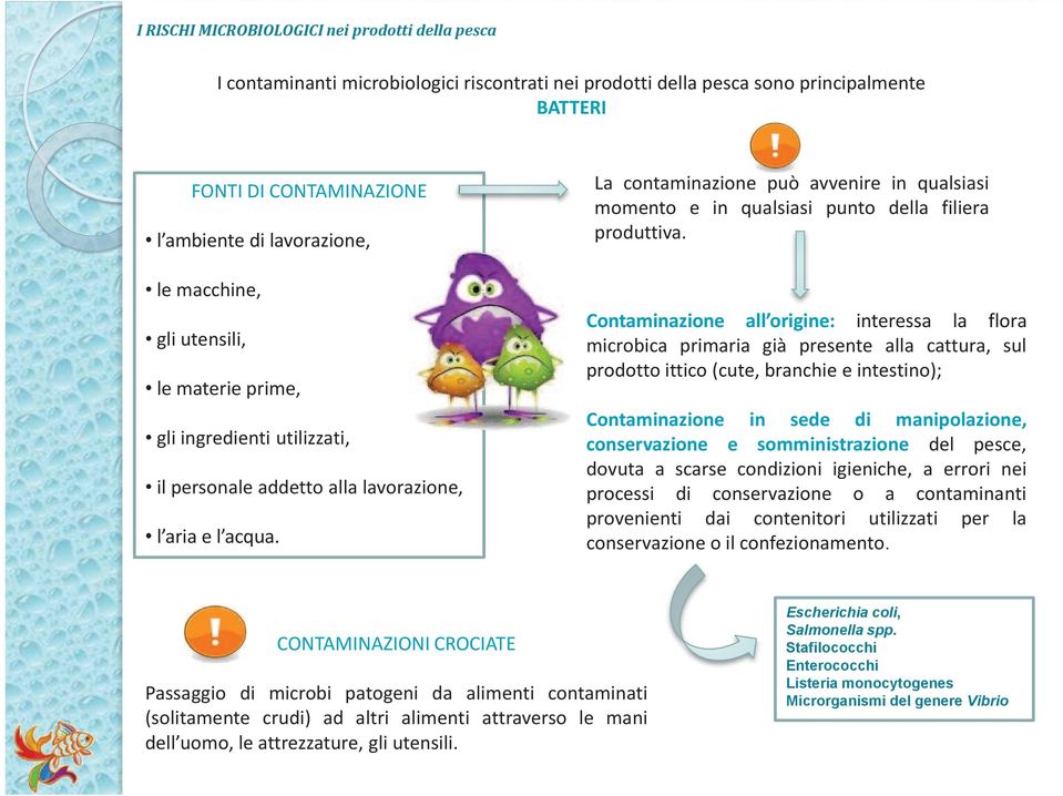 La contaminazione può avvenire in qualsiasi momento e in qualsiasi punto della filiera produttiva.