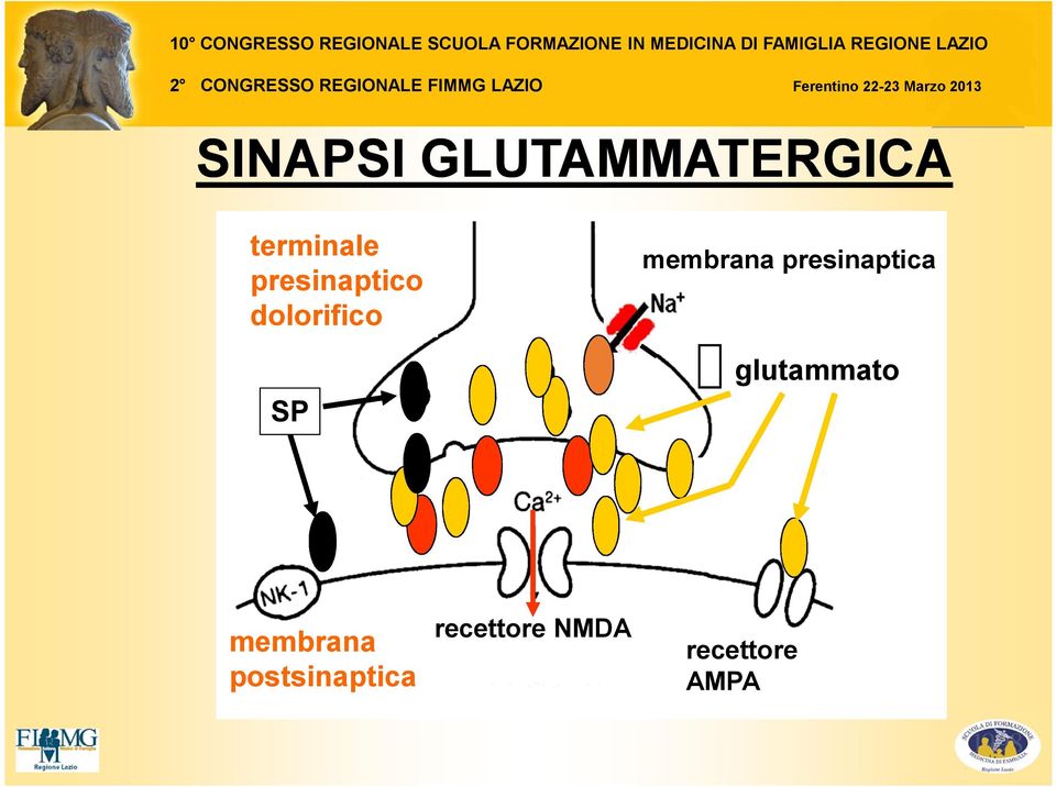 presinaptica glutammato membrana