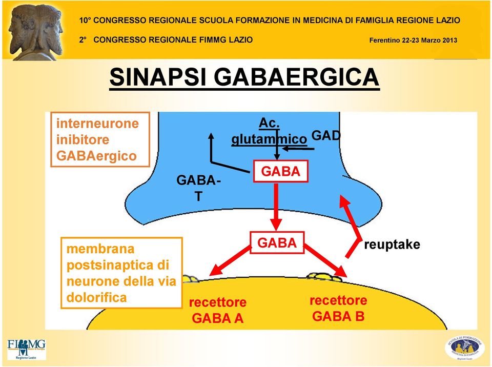 glutammico GAD GABA membrana postsinaptica di