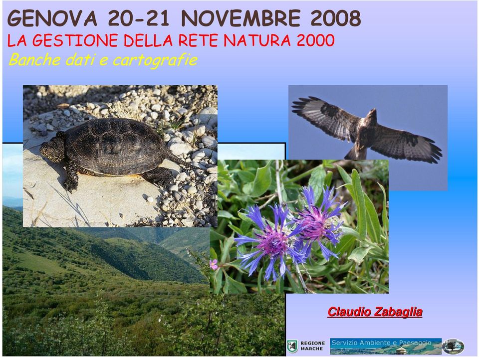 RETE NATURA 2000 Banche