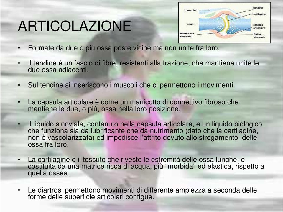 Il liquido sinoviale, contenuto nella capsula articolare, è un liquido biologico che funziona sia da lubrificante che da nutrimento (dato che la cartilagine, non è vascolarizzata) ed impedisce l