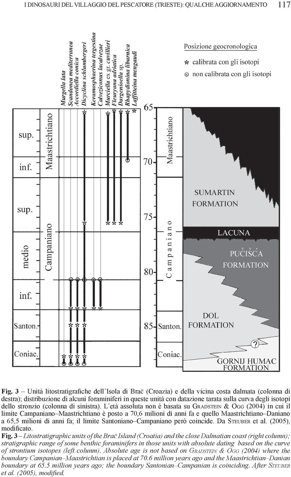 isotopi dello stronzio (colonna di sinistra).