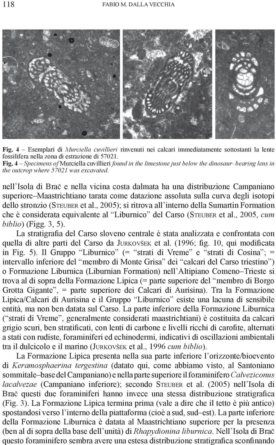 , 2005); si ritrova all interno della Sumartin Formation che è considerata equivalente al Liburnico del Carso (St e u b e r et al., 2005, cum biblio) (Figg. 3, 5).