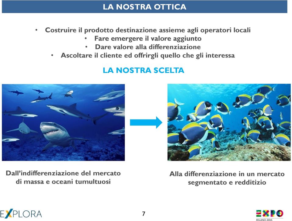 offrirgli quello che gli interessa LA NOSTRA SCELTA Dall indifferenziazione del mercato