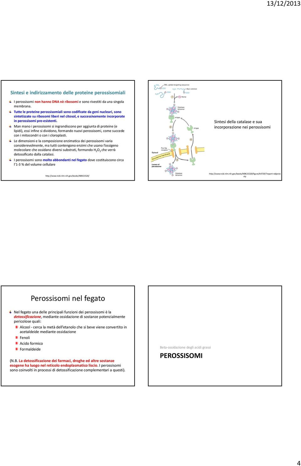 Man mano i perossisomi si ingrandiscono per aggiunta di proteine (e lipidi), essi infine si dividono, formando nuovi perossisomi, come succede con i mitocondri o con i cloroplasti.