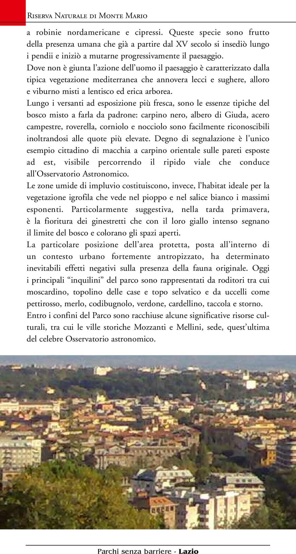 Dove non è giunta l azione dell uomo il paesaggio è caratterizzato dalla tipica vegetazione mediterranea che annovera lecci e sughere, alloro e viburno misti a lentisco ed erica arborea.