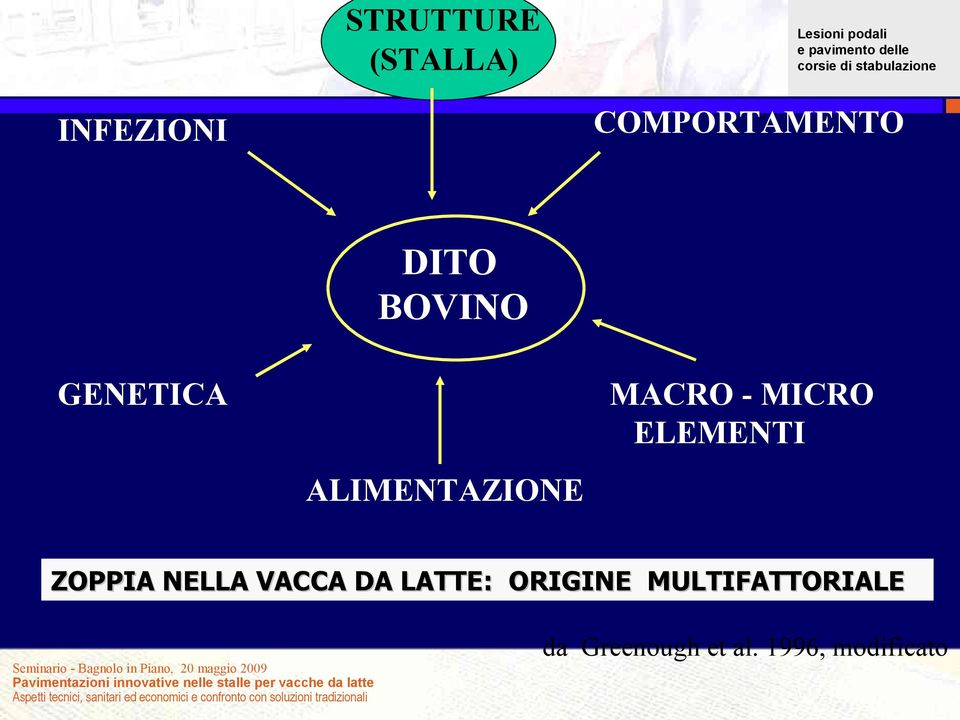 ALIMENTAZIONE ZOPPIA NELLA VACCA DA LATTE: