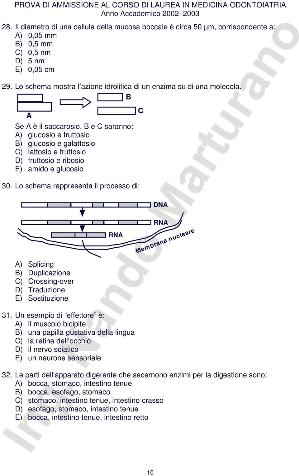 B A Se A è il saccarosio, B e C saranno: A) glucosio e fruttosio B) glucosio e galattosio C) lattosio e fruttosio D) fruttosio e ribosio E) amido e glucosio 30.