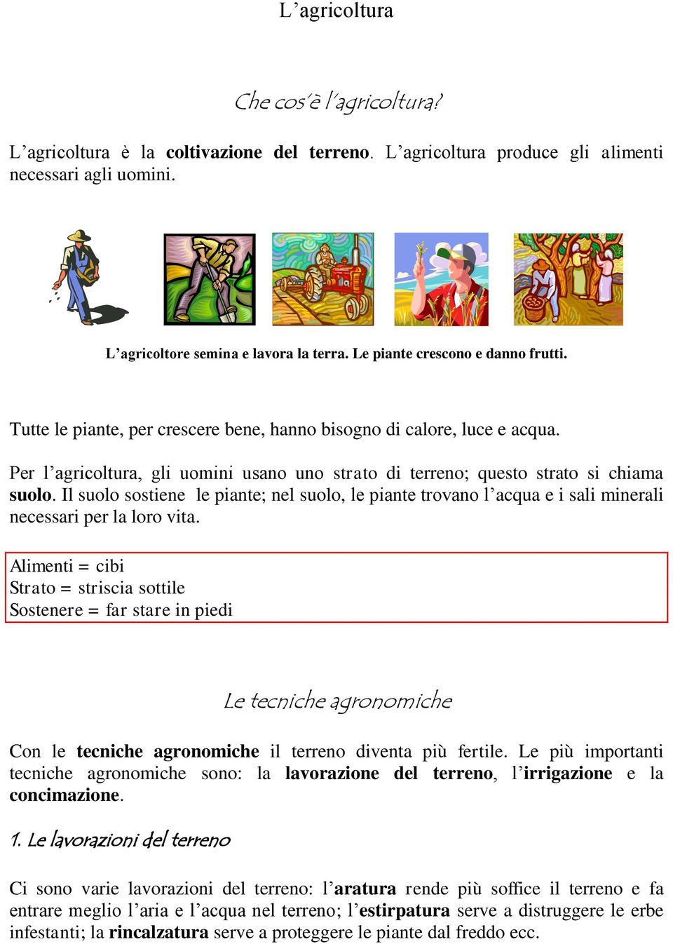 Il suolo sostiene le piante; nel suolo, le piante trovano l acqua e i sali minerali necessari per la loro vita.