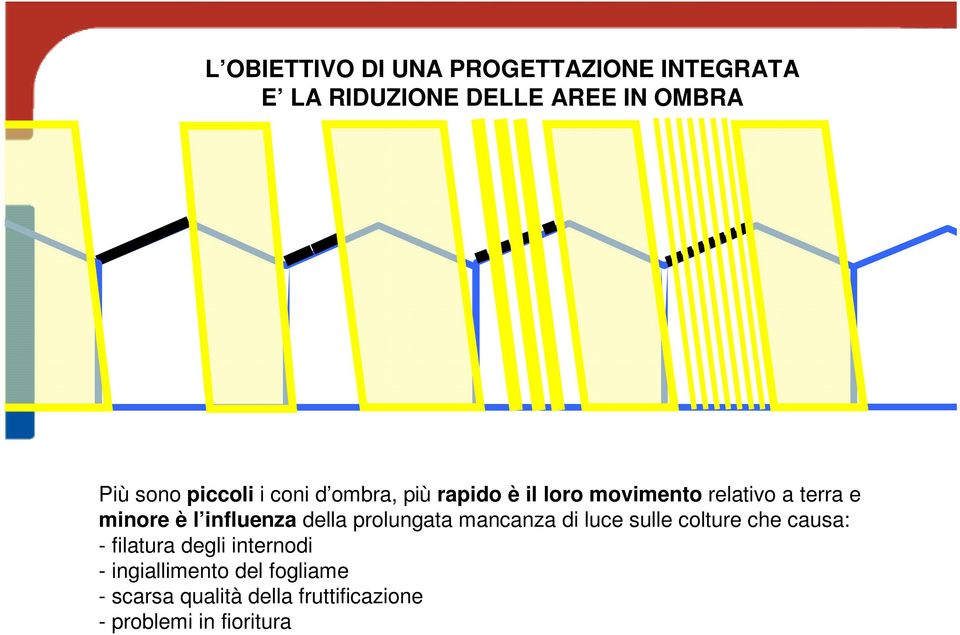 influenza della prolungata mancanza di luce sulle colture che causa: - filatura degli