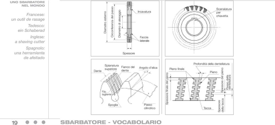 Dente Spianatura superiore Filo tagliente Spoglia Fianco del dente Angolo d elica Passo cilindrico Spessore finale del pieno Pieno