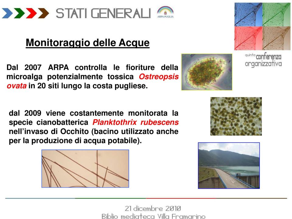 dal 2009 viene costantemente monitorata la dal 2009 viene costantemente monitorata la specie