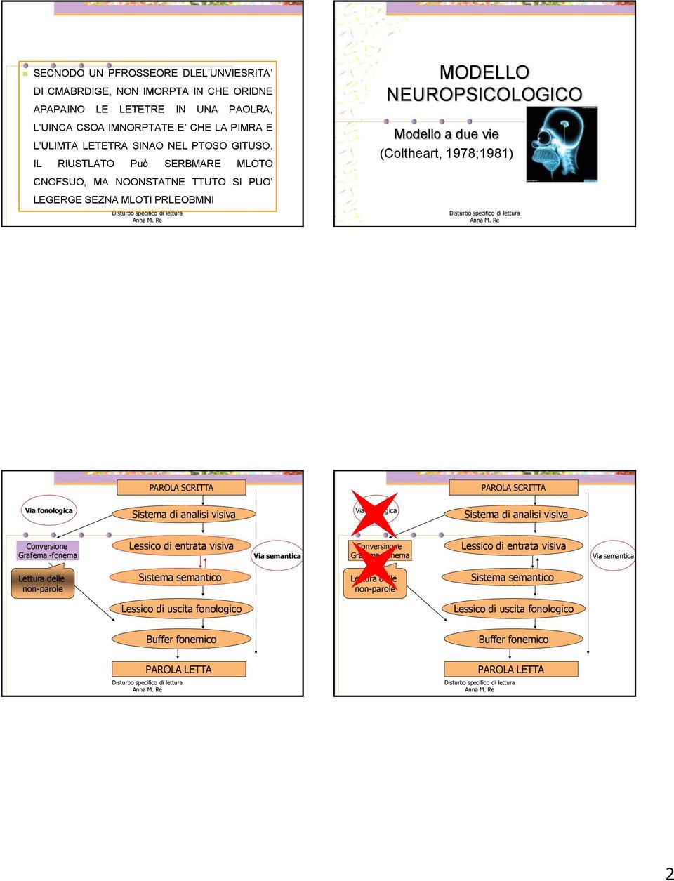 fonologica Sistema di analisi visiva Via fonologica Sistema di analisi visiva Conversione Grafema -fonema Lessico di entrata visiva Via semantica Conversinone Grafema -fonema Lessico di entrata