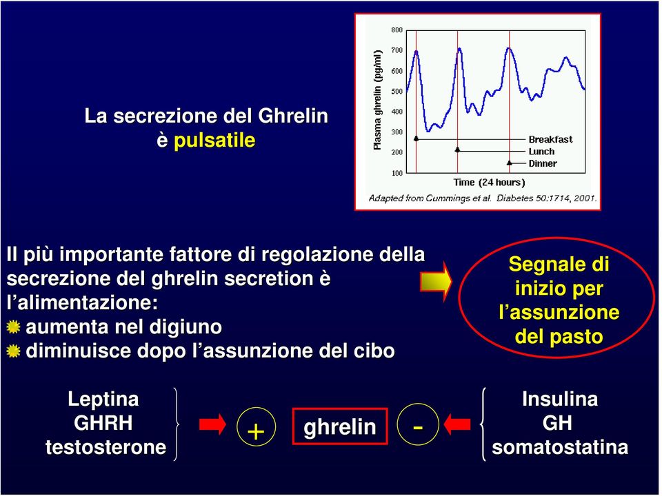 aumenta nel digiuno diminuisce dopo l assunzione l del cibo Segnale di