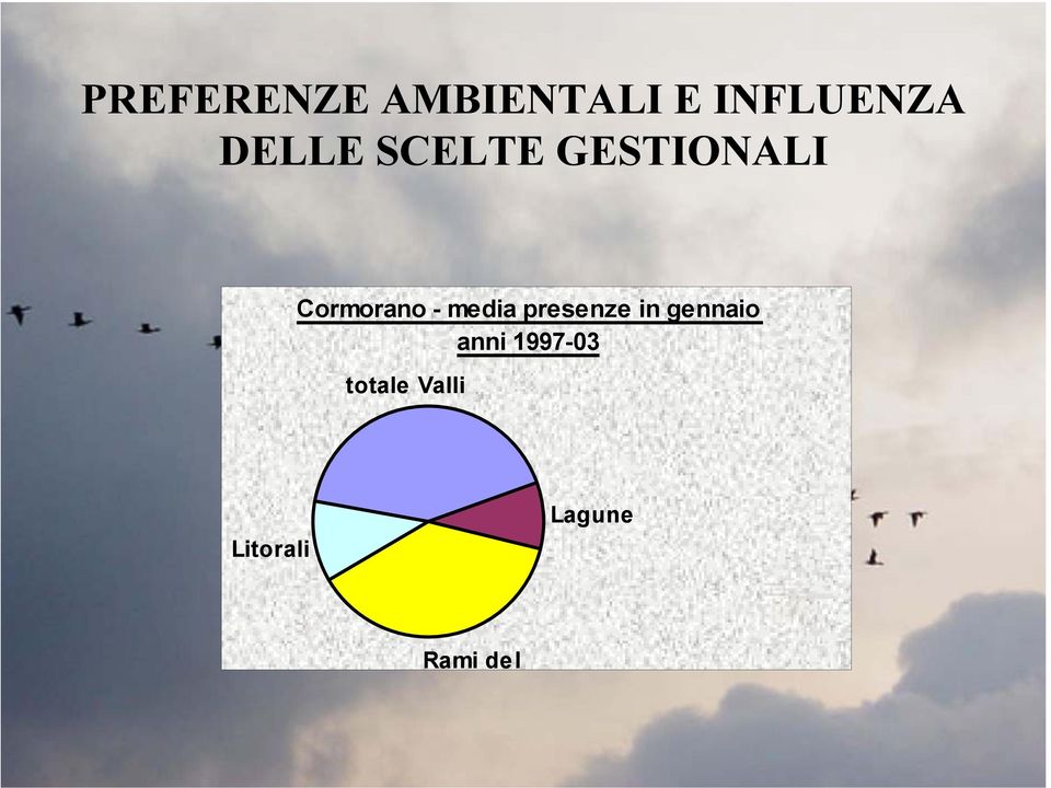 media presenze in gennaio anni