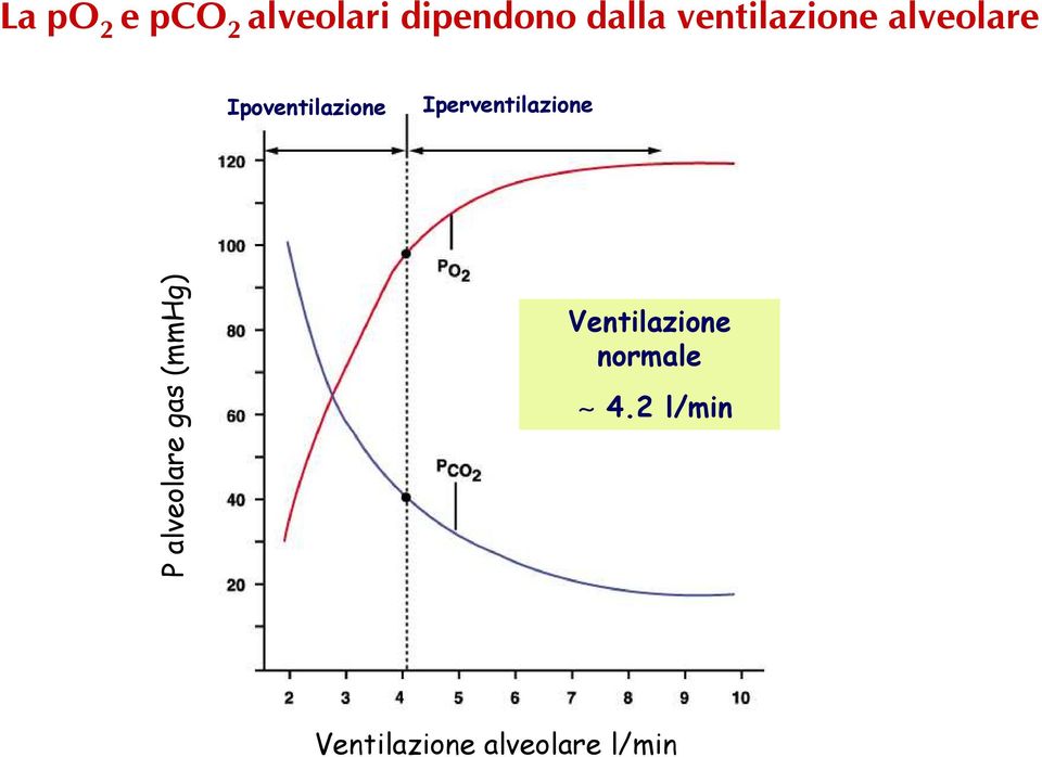 Iperventilazione P alveolare gas (mmhg)