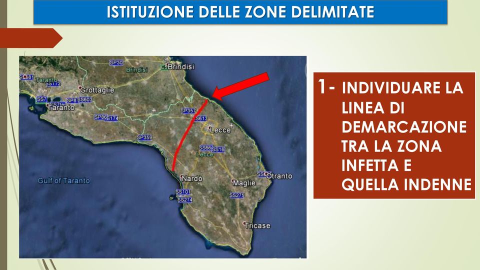 LA LINEA DI DEMARCAZIONE