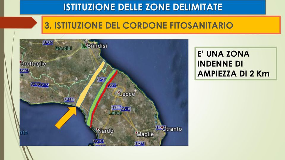 ISTITUZIONE DEL CORDONE