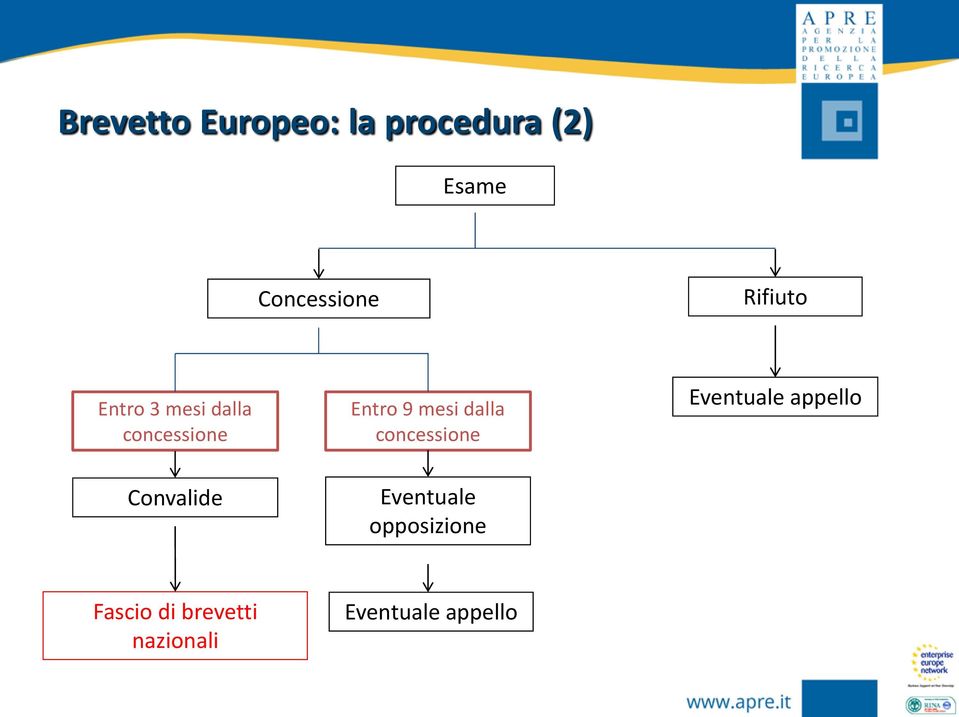 dalla concessione Eventuale appello Convalide