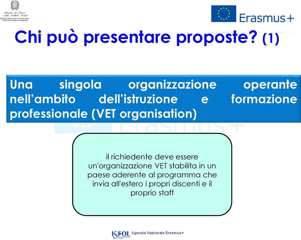 formazione professionale (VET organisation) il richiedente deve essere