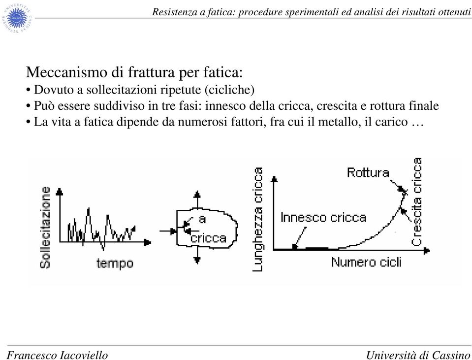 innesco della cricca, crescita e rottura finale La vita a