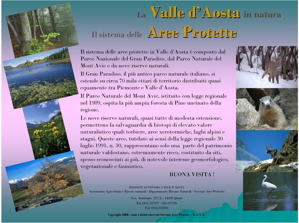 Il Parco Naturale del Mont Avic, istituito con legge regionale nel 1989, ospita la più ampia foresta di Pino uncinato della regione.