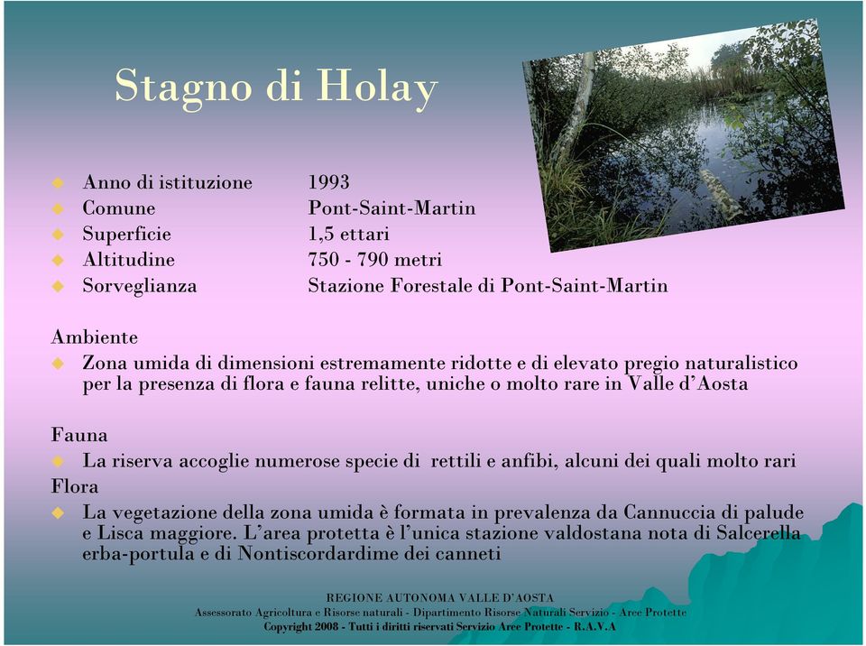 specie di rettili e anfibi, alcuni dei quali molto rari Flora La vegetazione della zona umida è formata in prevalenza da Cannuccia di palude e Lisca maggiore.