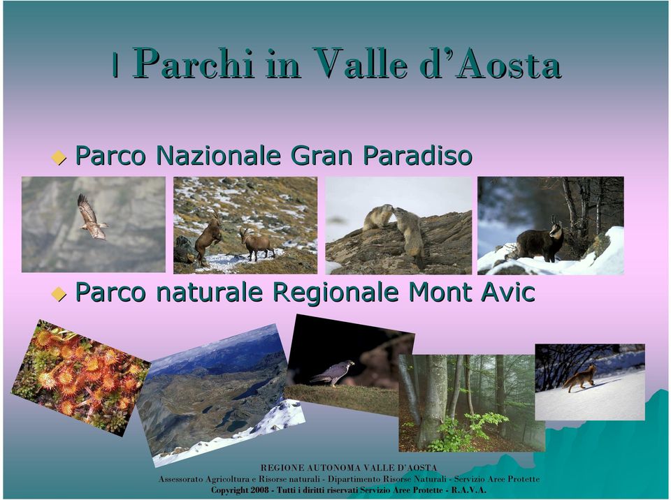 Gran Paradiso Parco