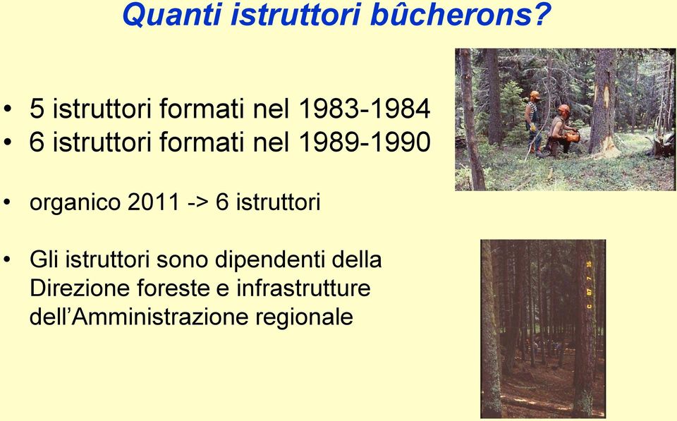 nel 1989-1990 organico 2011 -> 6 istruttori Gli