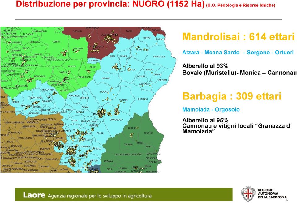Atzara - Meana Sardo - Sorgono - Ortueri Alberello al 93% Bovale