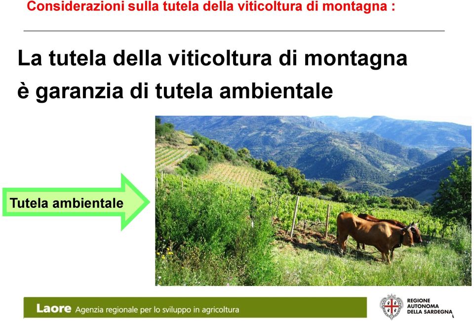 della viticoltura di montagna è