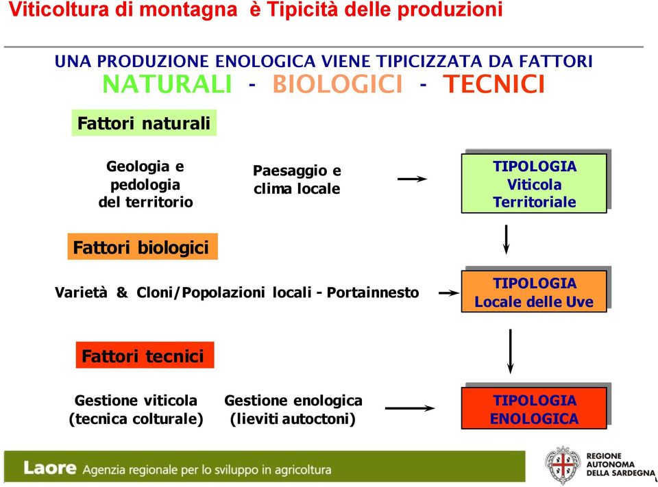 TIPOLOGIA Viticola Territoriale Fattori biologici Varietà & Cloni/Popolazioni locali - Portainnesto TIPOLOGIA