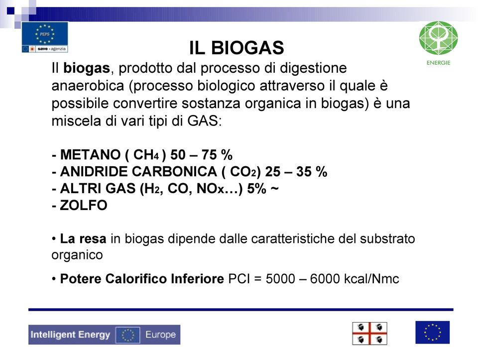 CH4 ) 50 75 % - ANIDRIDE CARBONICA ( CO2) 25 35 % - ALTRI GAS (H2, CO, NOx ) 5% ~ - ZOLFO La resa in