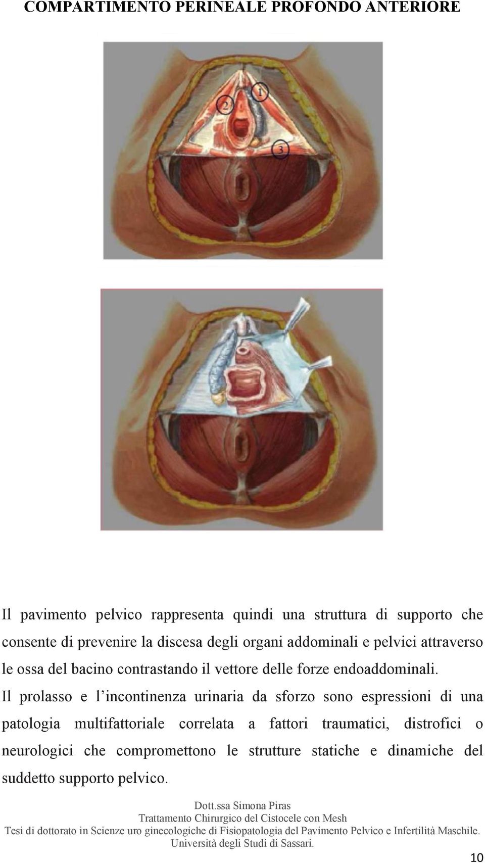 endoaddominali.