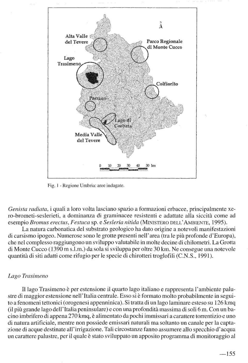 erectus, Festuca sp. e Sesleria nitida (MINISTERO DELL'AMBIENTE, 1995). La natura carbonatica del substrato geologico ha dato origine a notevoli manifestazioni di carsismo ipogeo.