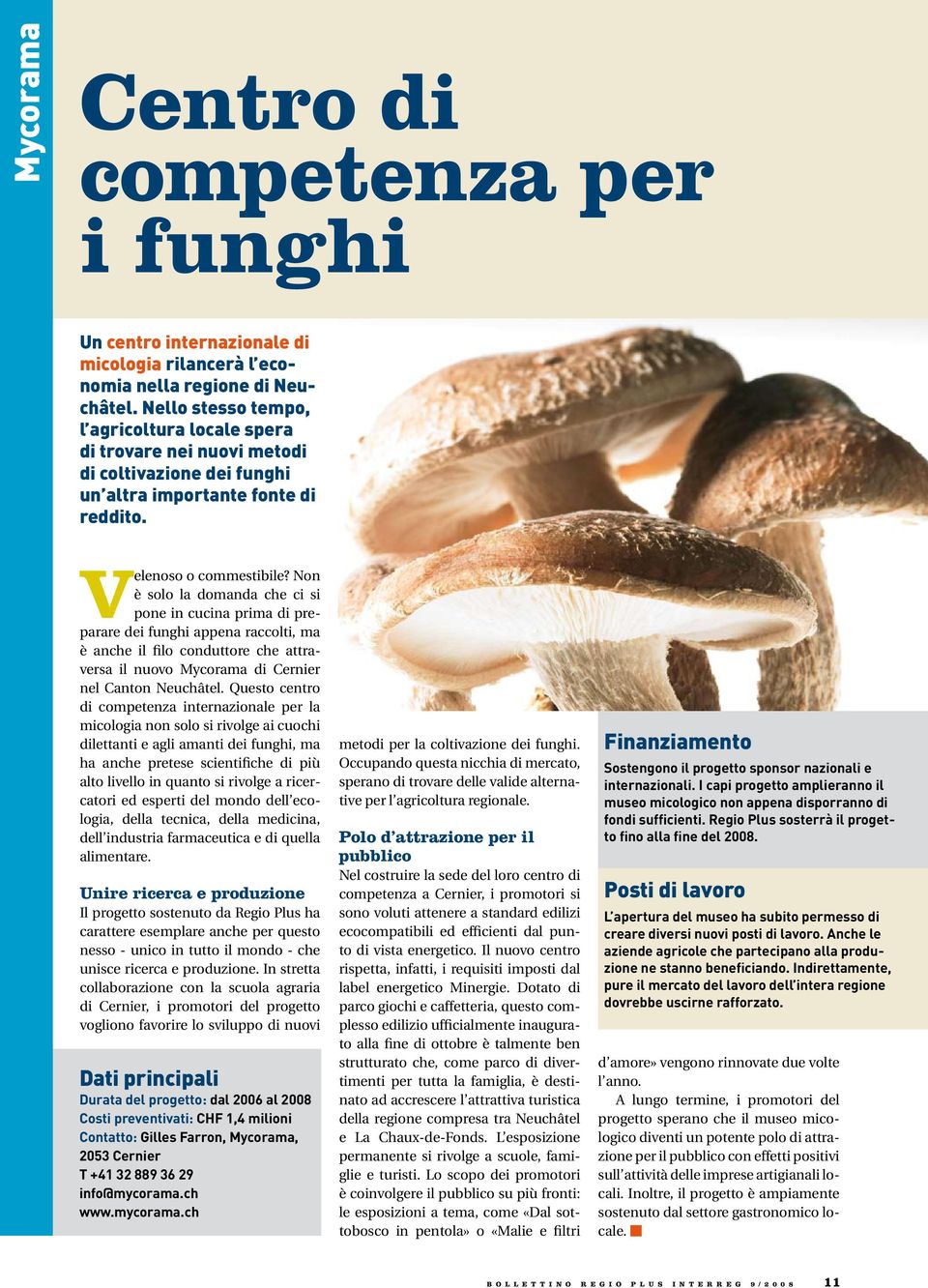 Non è solo la domanda che ci si pone in cucina prima di preparare dei funghi appena raccolti, ma è anche il filo conduttore che attraversa il nuovo Mycorama di Cernier nel Canton Neuchâtel.