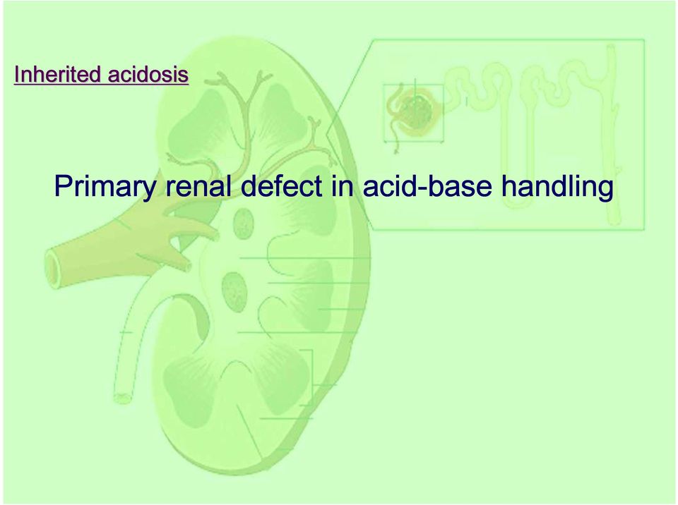 Primary renal