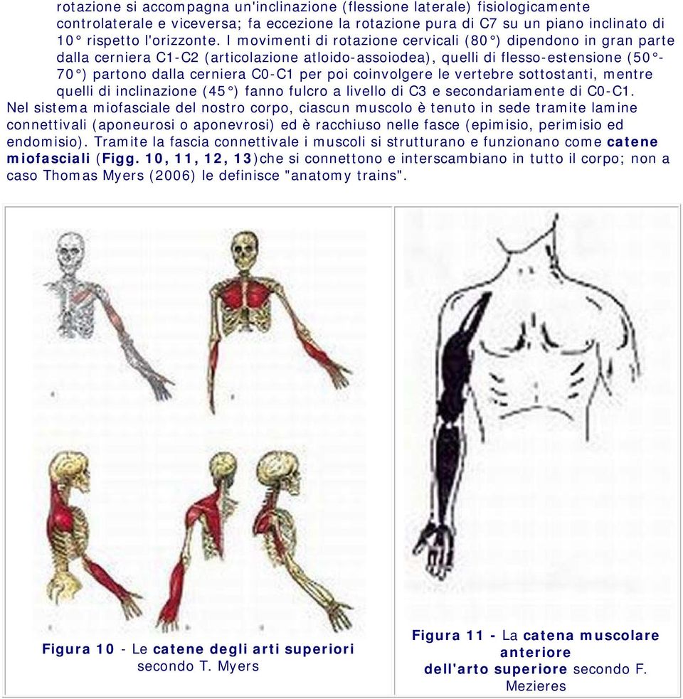 coinvolgere le vertebre sottostanti, mentre quelli di inclinazione (45 ) fanno fulcro a livello di C3 e secondariamente di C0-C1.