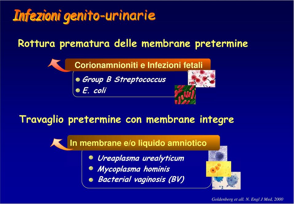 coli Travaglio pretermine con membrane integre In membrane e/o liquido