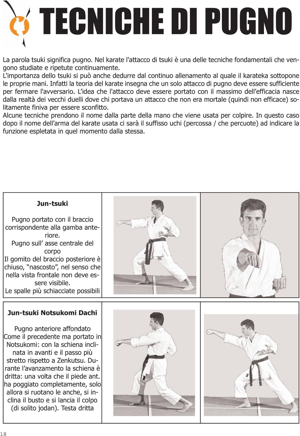 Infatti la teoria del karate insegna che un solo attacco di pugno deve essere sufficiente per fermare l'avversario.