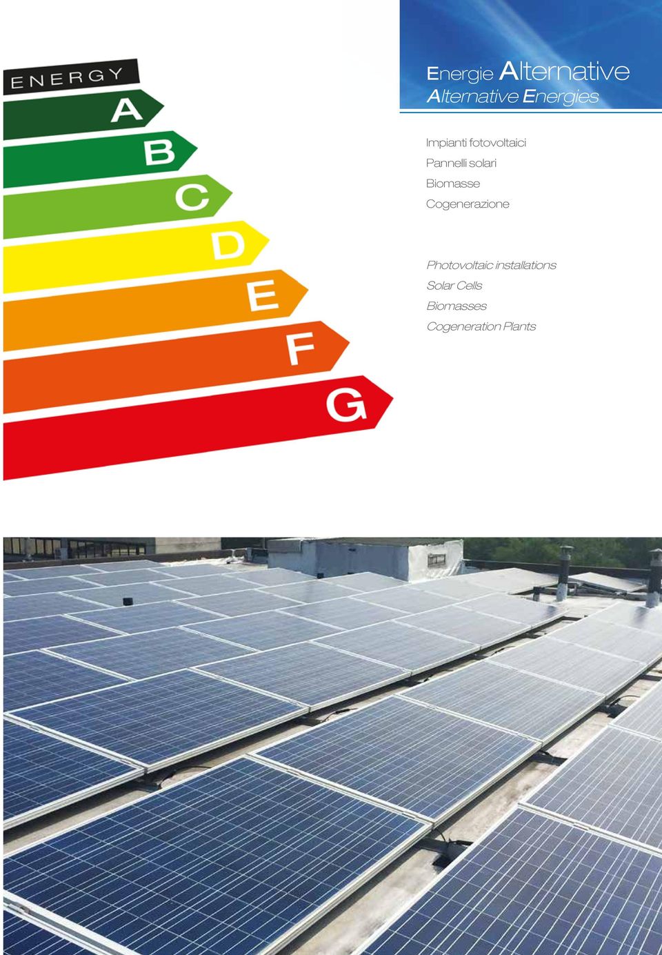 Biomasse Cogenerazione Photovoltaic