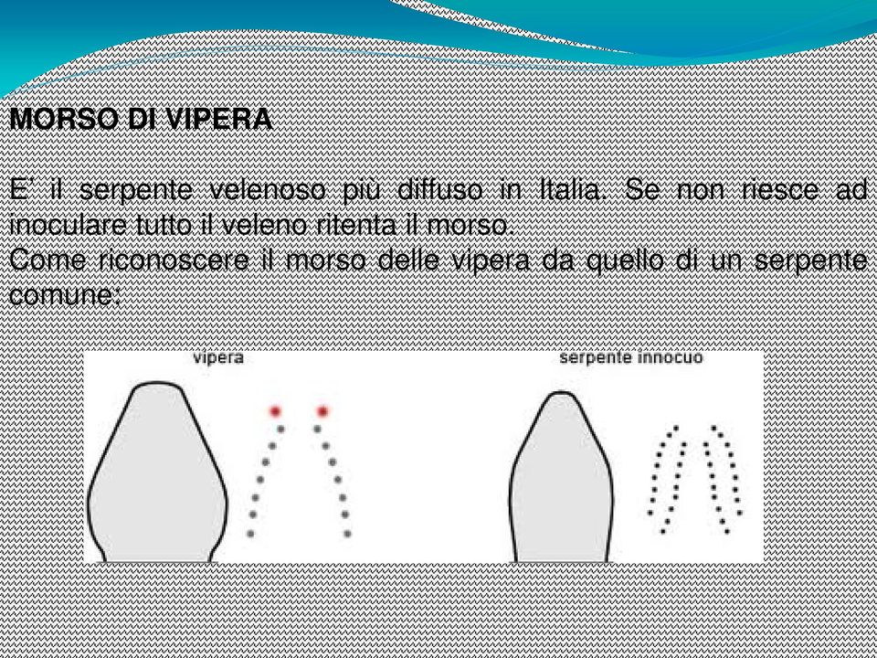 Se non riesce ad inoculare tutto il veleno